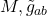 M,\tilde{g}_{ab}