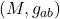 (M,g_{ab})